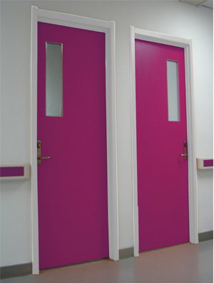 专用门 型号：SXF51(图1)